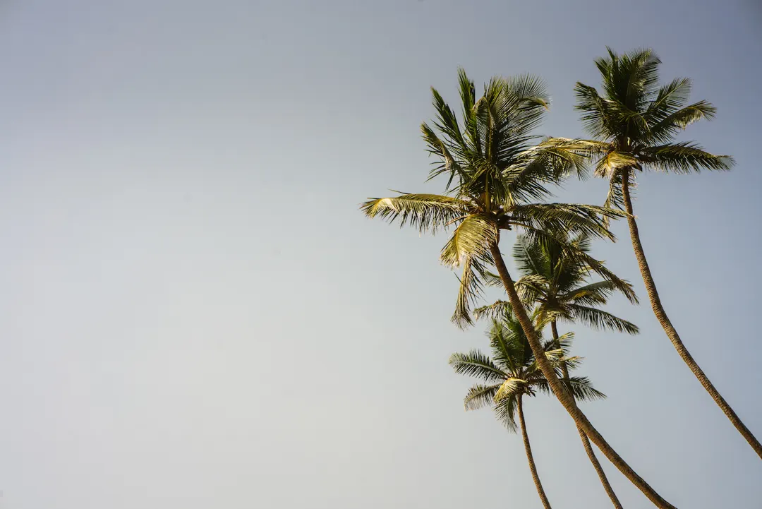 Moments in Srilanka