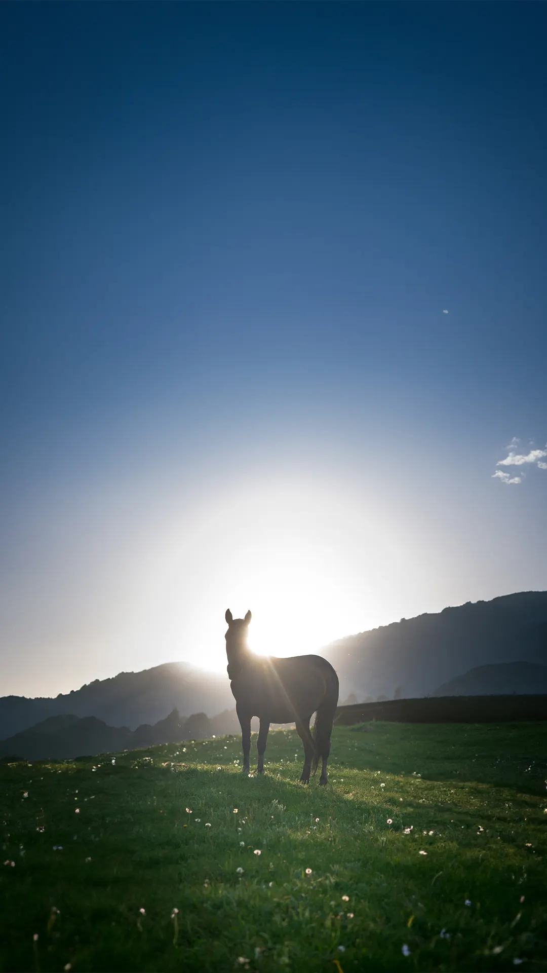 The Sacred Bond: Horses and the Kyrgyz People