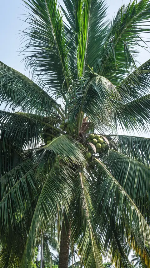 Join our Srilanka experience