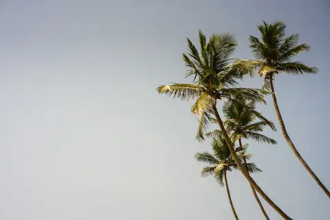 Moments in Srilanka